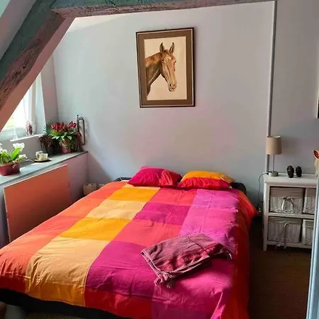 Appartamento Le Vieux Moulin Chamant Senlis 60300 Esterno foto