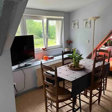Appartamento Le Vieux Moulin Chamant Senlis 60300 Esterno foto